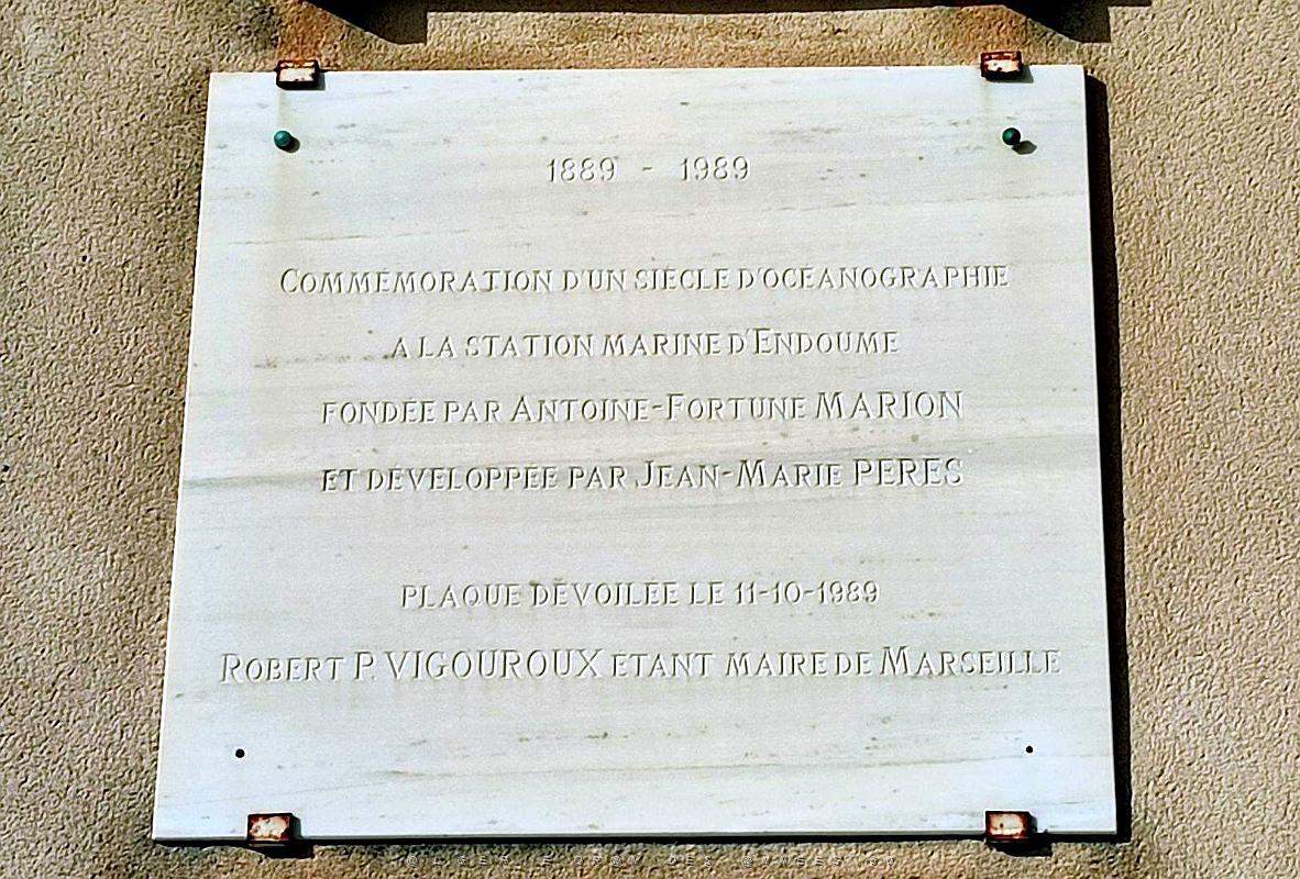 2022 12 MARSEILLE-ENDOUME DU PORT DE MALMOUSQUE A MALDORME (76).jpg